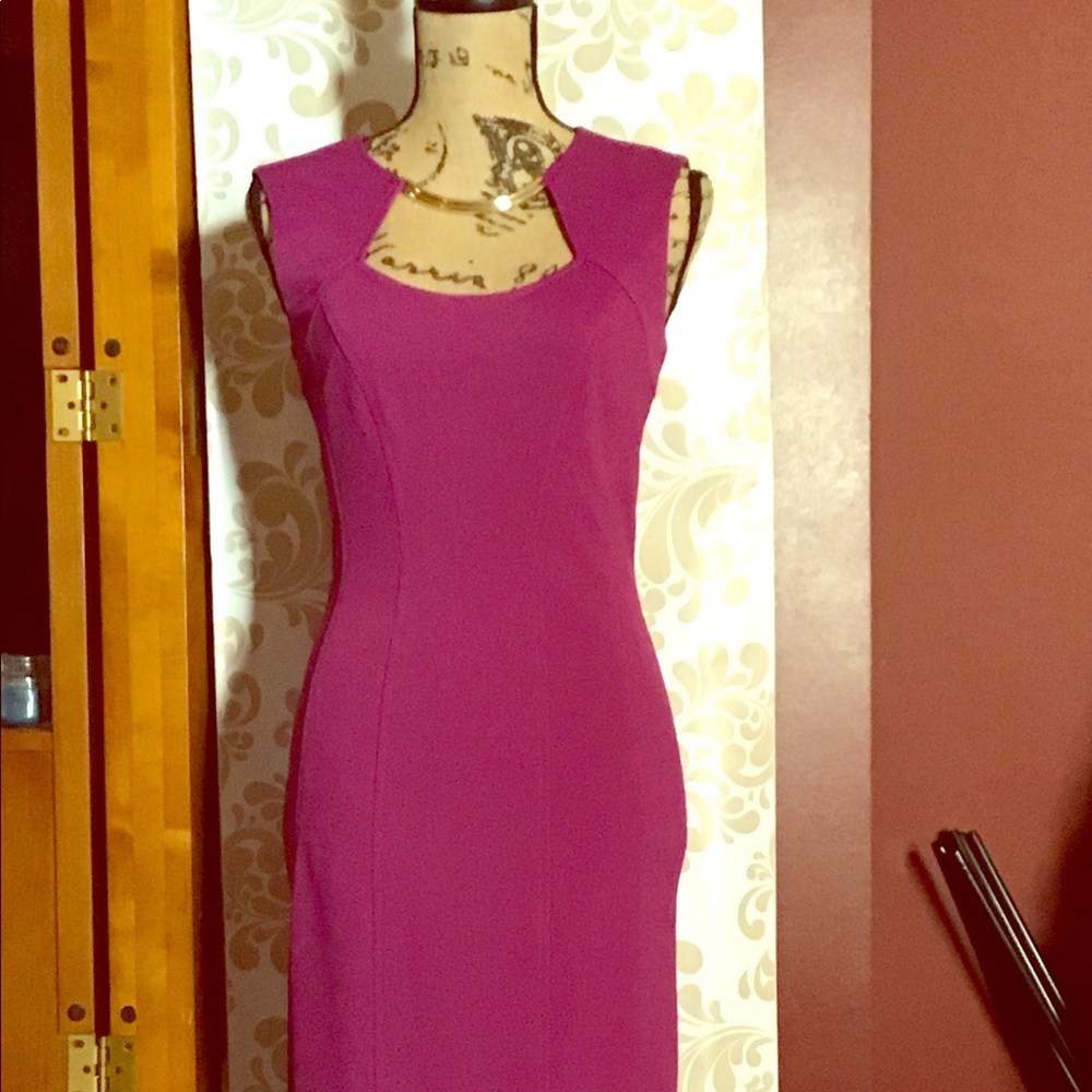 Cache Sheath Dress with Gold Necklace